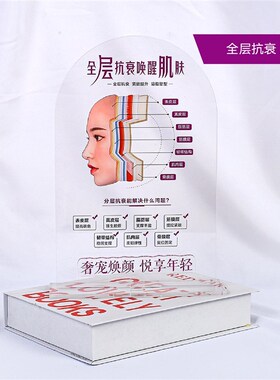 美容院桌面装饰h摆件分层抗衰肌肤结构亚克力医患沟通皮肤解剖知