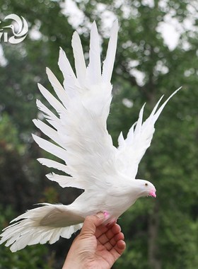 新品仿真鸽子摆件鸟类动物标本羽毛白鸽灰鸽家居创意X软装森系装