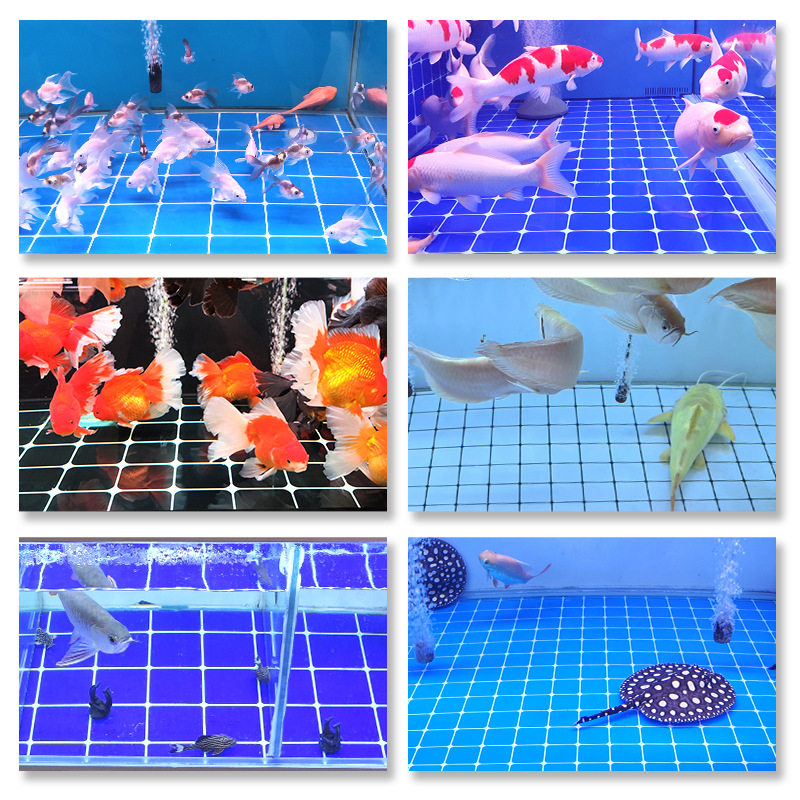 大弧格子马赛克蓝色水族造景贴纸高清不褪色白色马赛克鱼缸背景膜,淘宝优惠券,粉丝福利购,淘宝优惠卷