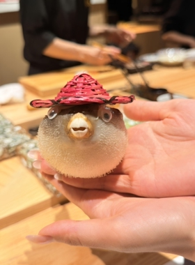 天然刺豚海洋生物标本挂件