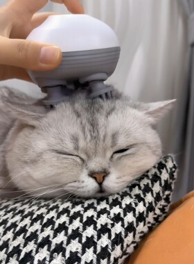【猫咪灵魂提取器】宠物按摩仪