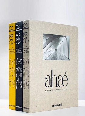 高档装饰书仿真书别墅酒店大厅装饰书布M面精装英文画册摆件书