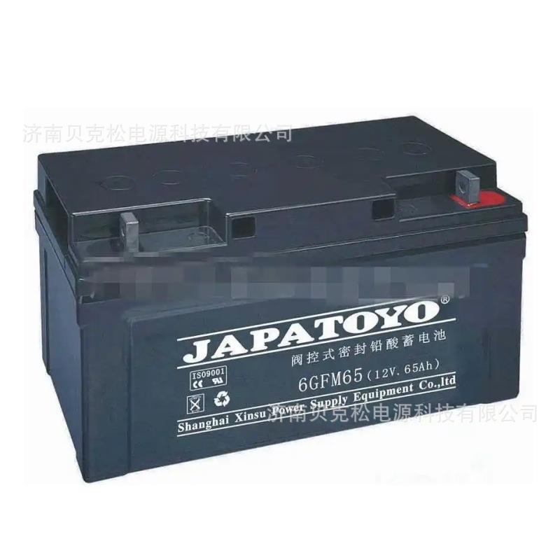 东洋蓄电池6FM12 6GFM-65 12V1.3A7A9A17A24A38A55A100A150A200A - 图1
