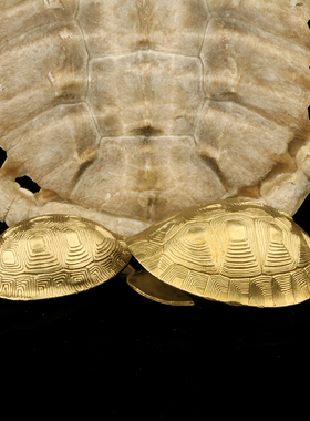 铜乌龟壳创意六摇卦铜q钱用具龟甲六十四卦工具中式工艺品家居摆