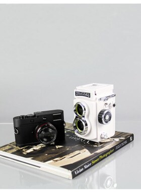 样板间装饰品摆h件 仿真复古相机模型道具 书房书桌创意软装工艺