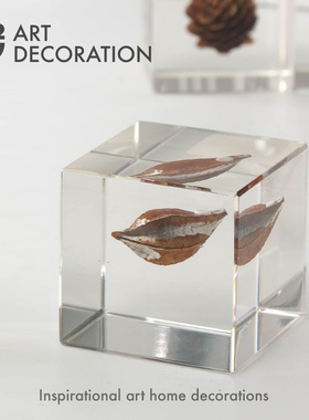亚克力水晶植物标本小方块样板间D茶几美容院会所桌面装饰品摆件