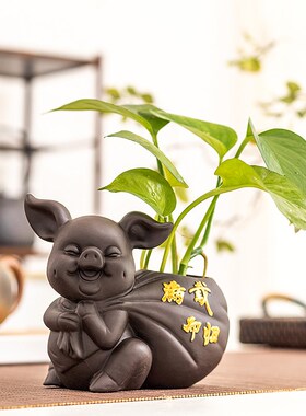 摆台小物件绿萝水培盆家居装饰福猪水养插器