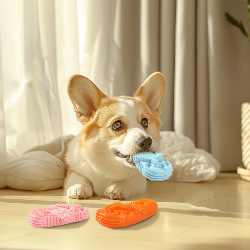 狗狗玩具耐咬磨牙拖鞋造型中小型犬金毛训练互动解闷宠物磨牙玩具,淘宝优惠券,粉丝福利购,淘宝优惠卷