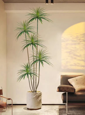 龙血树仿真绿色植k物室内大型假植物盆栽造景客厅轻奢仿生花装饰
