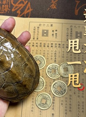 天然真龟壳乌龟壳文玩龟甲手把件爻卦摇卦工具铜钱五帝钱摆件