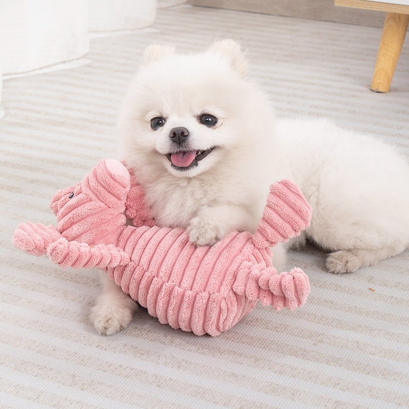 狗狗玩具毛绒不耐咬磨牙布娃娃小型幼犬发声解闷陪伴神器宠物用品,淘宝优惠券,粉丝福利购,淘宝优惠卷