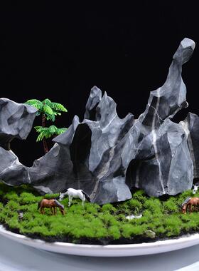 青龙石一物一拍造景石原石成品鱼缸假山草缸玄关中式石头奇石摆件