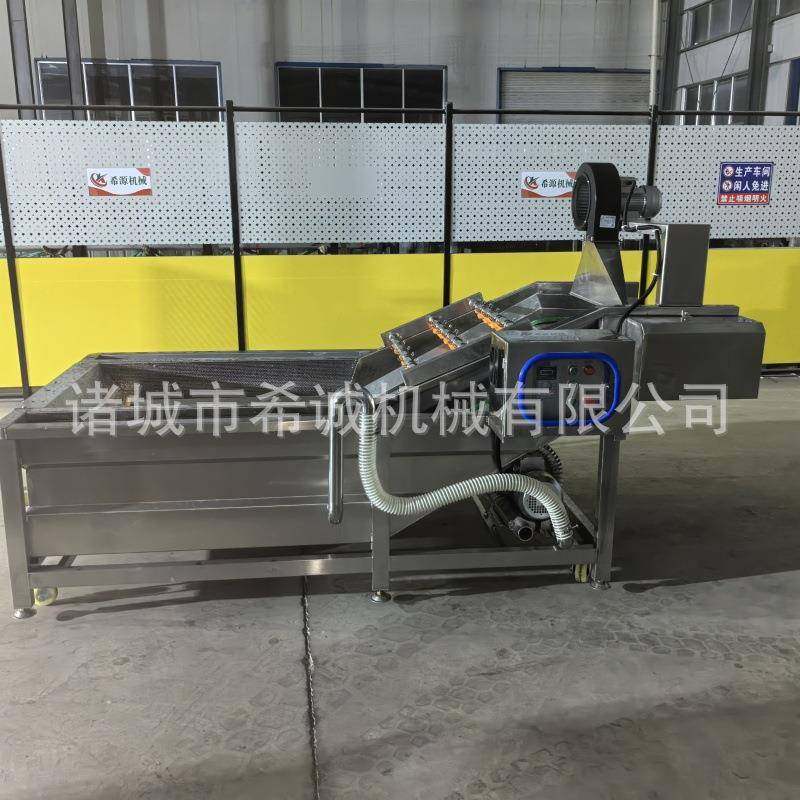 小龙虾气泡清洗机全自动果蔬清洗机预制菜加工设备海鲜清洗机,淘宝优惠券,粉丝福利购,淘宝优惠卷