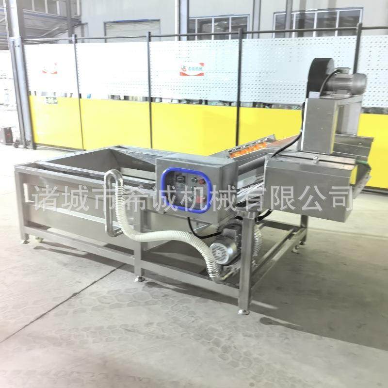 全自动果蔬气泡清洗机预制菜加工设备海鲜肉类清洗机器供,淘宝优惠券,粉丝福利购,淘宝优惠卷