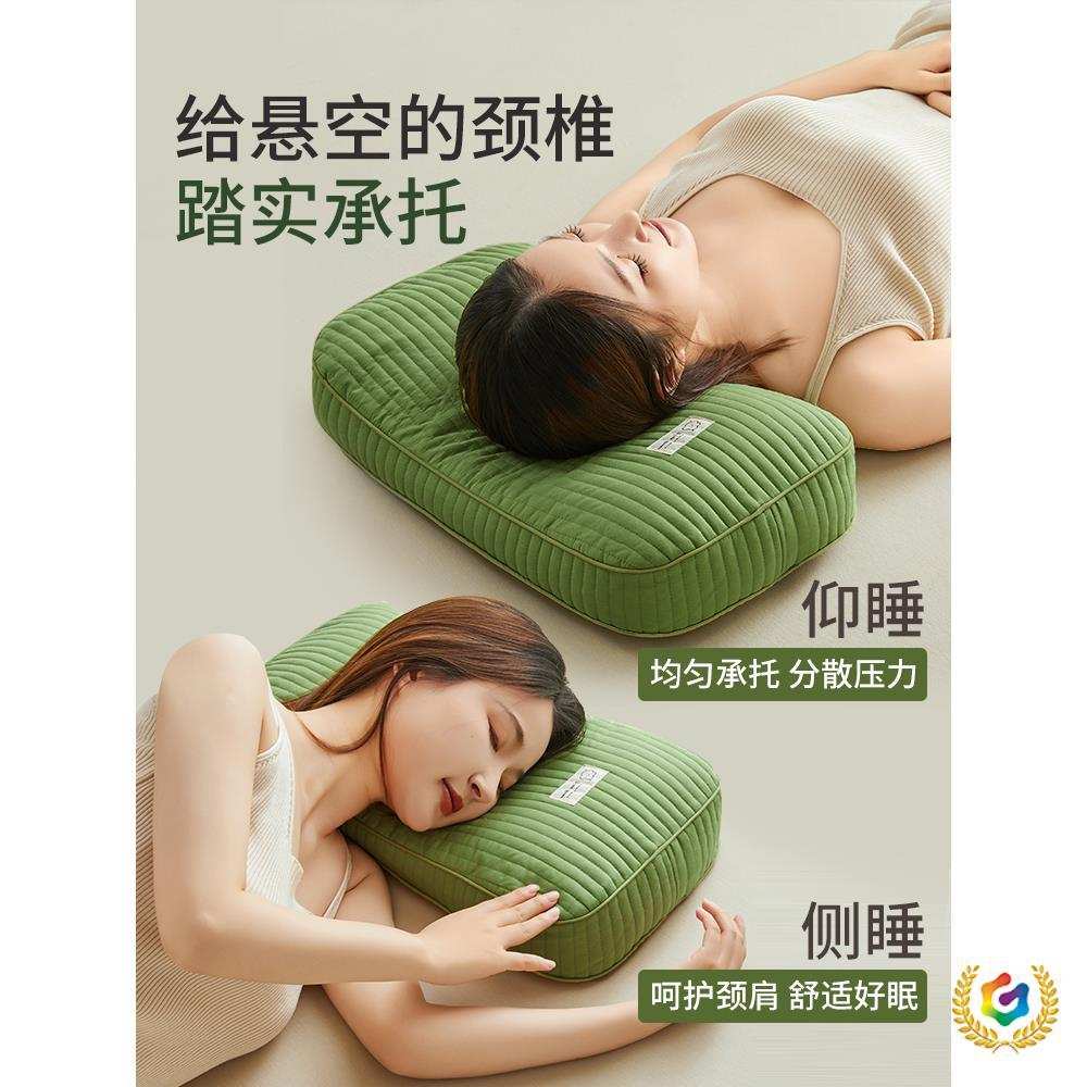 ?全荞麦皮壳枕头护颈椎助睡眠成人男决明子枕芯硬小整头午睡办公 - 图0