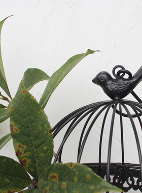 黑色鸟笼装饰婚庆婚礼多肉花架挂饰绿植家居饰品阳台庭院摆件铁艺