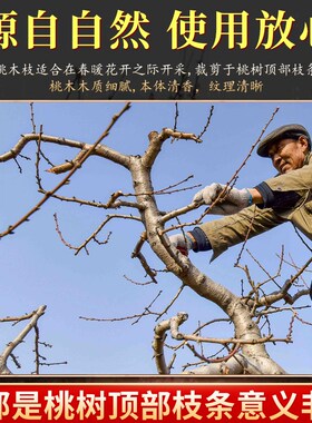 速发老桃工挂件枝桃树棒随身东南宝宝婴儿童纯条木宝剑棍枝手原木