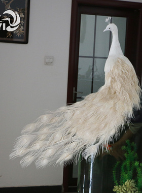 仿真孔雀工艺品摆件橱窗家居装饰A蓝白孔雀标本真羽毛开屏孔雀道