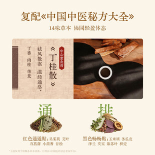 元气达人红蛮腰双C艾绒草本去湿炫腹贴