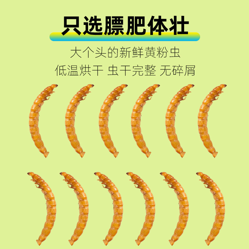 小仓鼠粮食面包虫干金丝熊刺猬黄粉零食用品主粮饲料专用营养食物,淘宝优惠券,粉丝福利购,淘宝优惠卷