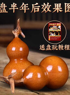 速发手捻葫芦文玩手件把手盘迷你小胖墩梨形带龙摆收藏精品头挂件