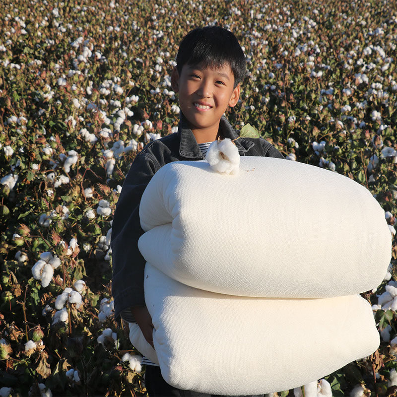 新疆棉被一级全棉被芯纯棉花棉絮棉花被床垫加厚保V暖冬被手工被,淘宝优惠券,粉丝福利购,淘宝优惠卷