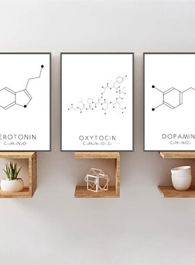 物理生物化学实验室墙面装饰画科学仪器实N验器材挂画化学周期表