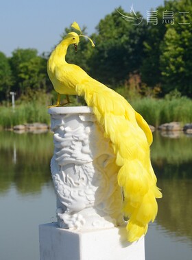 热卖仿真羽毛孔雀家居客厅橱窗装饰摆件工艺品P摄影道具彩色小孔