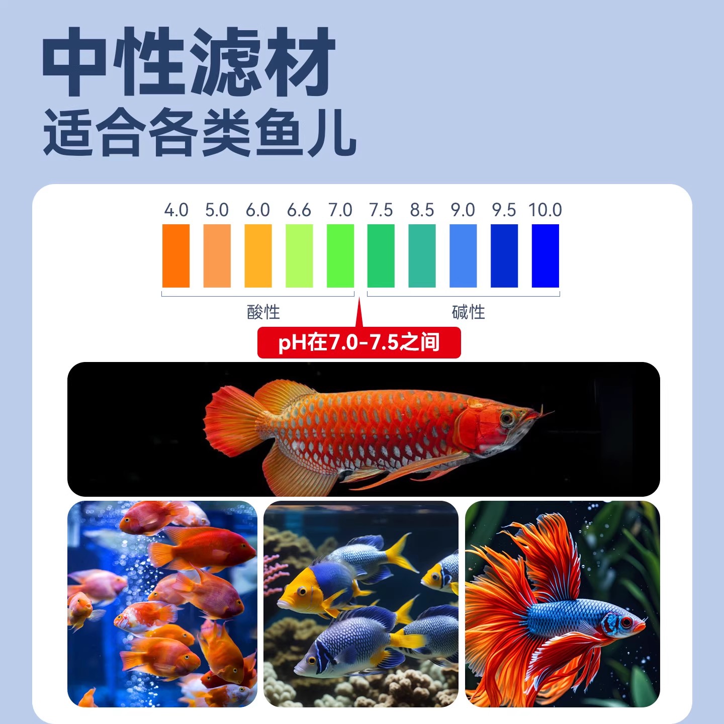 鱼缸背滤滤材过滤硝化细菌屋鱼池周转箱过滤器净水系统培菌滤材 - 图3