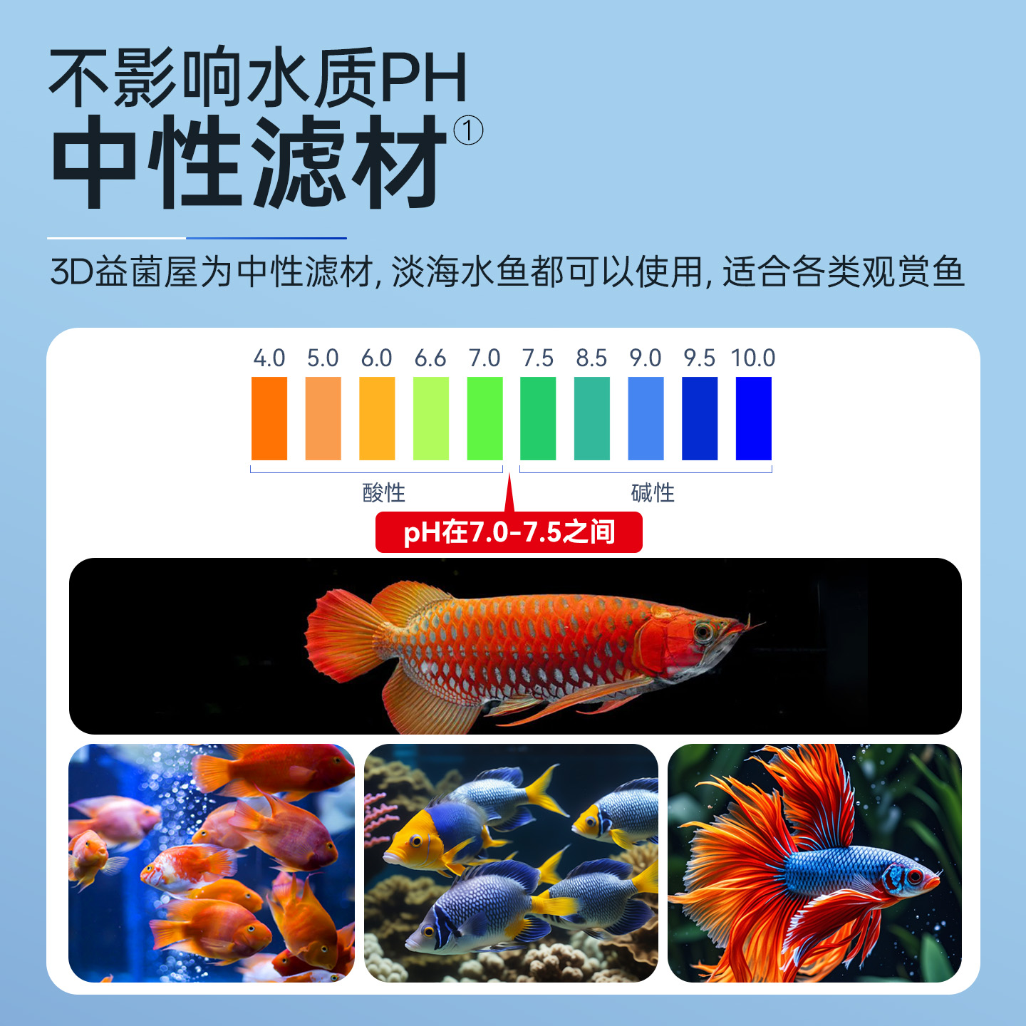 鱼缸过滤材料硝化细菌屋陶瓷环鱼池净水石英球过滤器周转箱底滤材 - 图3