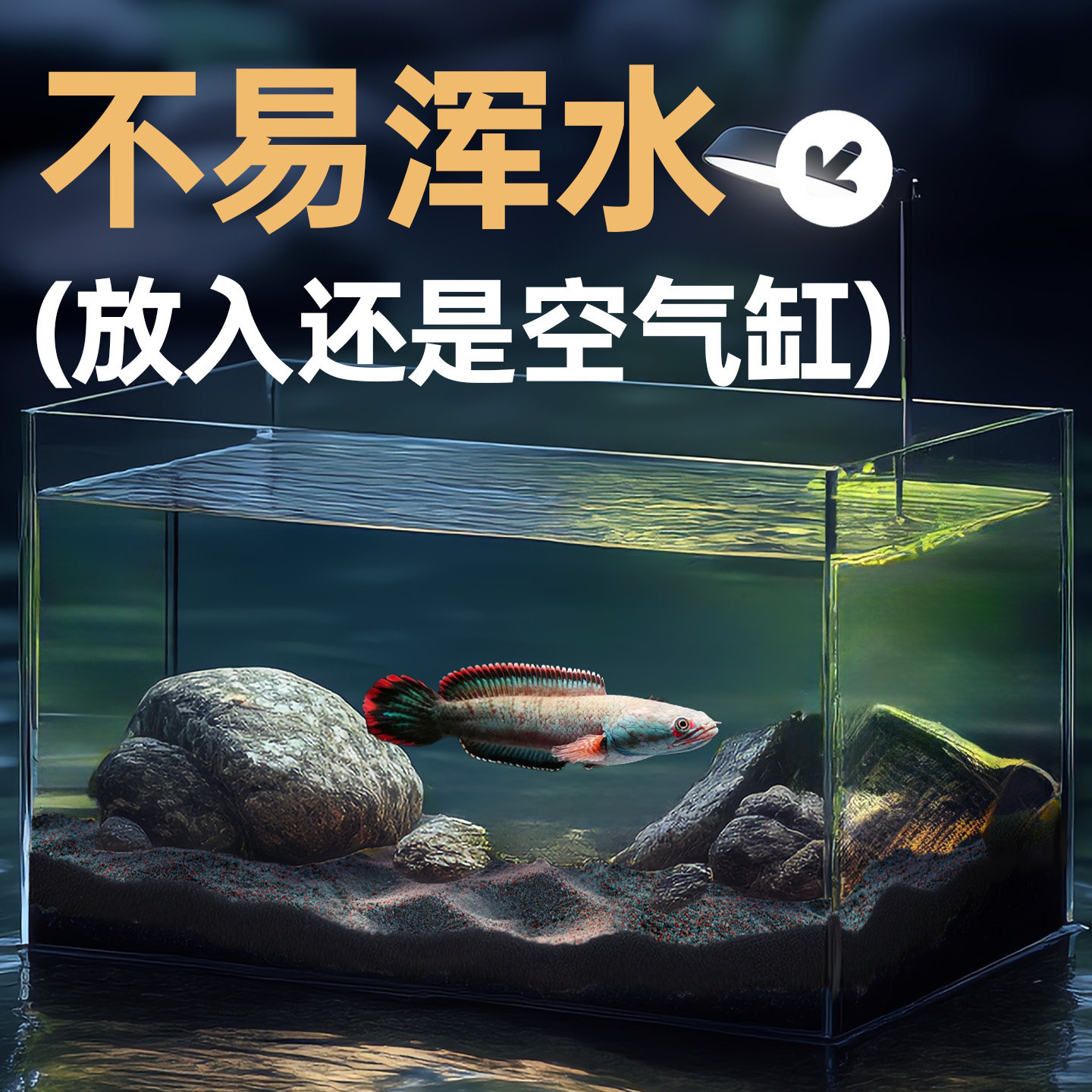 免洗雷龙造景沙青灰砂雨林南美棕沙化妆沙子铺底装饰鱼缸底部砂石,淘宝优惠券,粉丝福利购,淘宝优惠卷