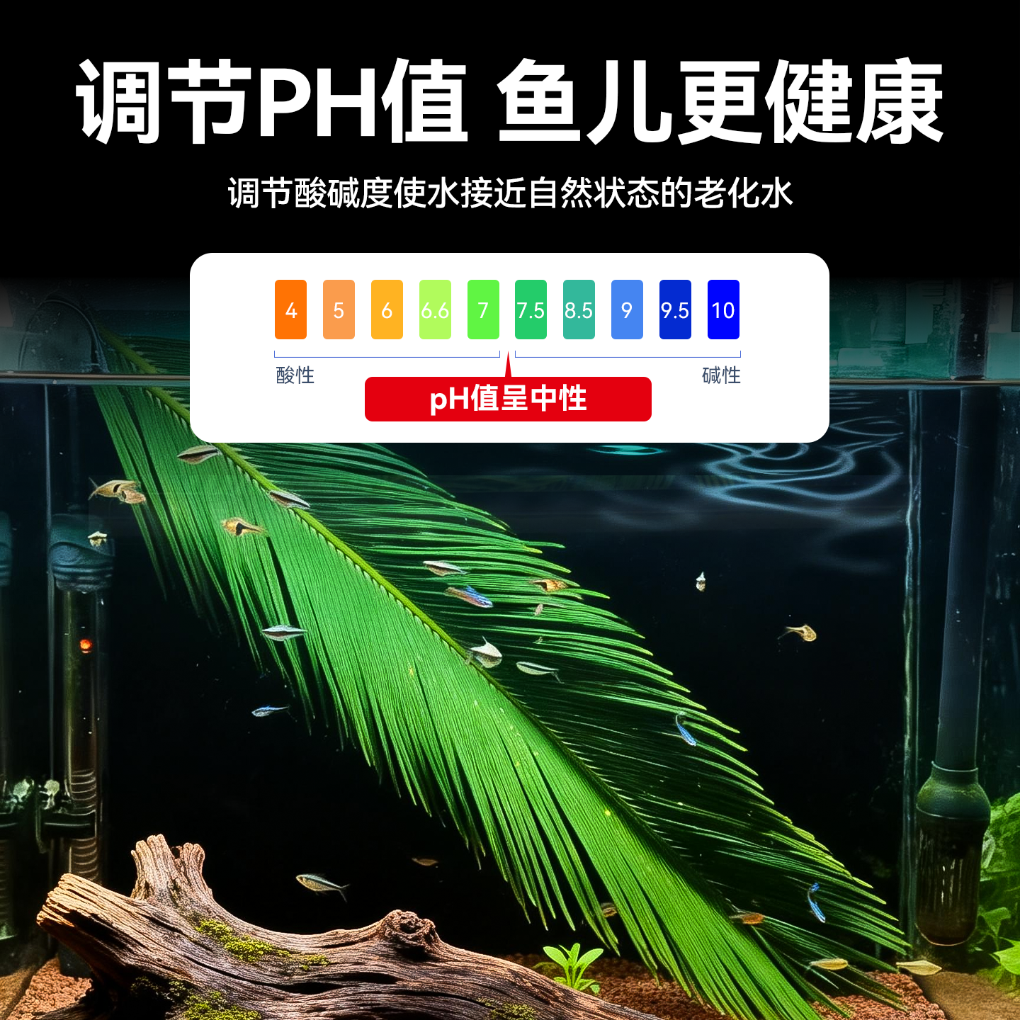 天然铁树叶沉叶鱼缸造景南美缸原生缸装饰树叶网红沉叶黄色树叶,淘宝优惠券,粉丝福利购,淘宝优惠卷