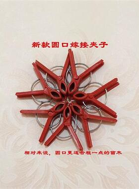 好货芽接嫁接架子嫁接蟹爪兰夹专用夹子叶仙嫁接夹专用夹子蔬菜瓜