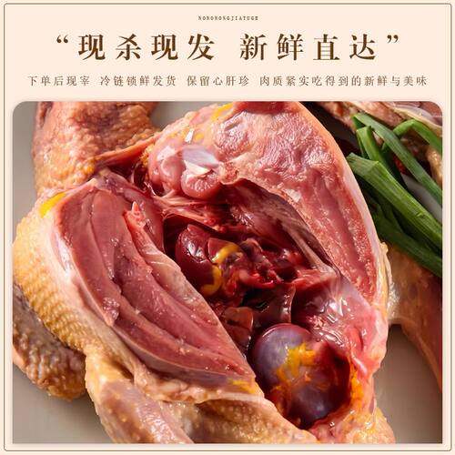 农家散养鸽子新鲜活现杀冷冻土鸽生鲜5年老鸽子3年烤乳鸽送料包 - 图1