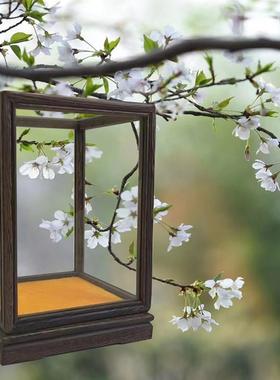 玻璃罩展示盒 摆件饰品 红木防尘罩子佛像奇石鸡翅木 可定制刻字