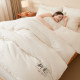 Hongdou flagship Xinjiang cotton antibacterial quilt