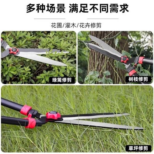 速发园力大剪刀修枝剪剪果树园林艺剪绿篱剪强花修剪草坪树枝绿化 - 图2