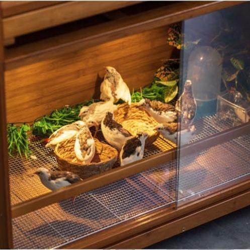 带抽屉饲养箱鹦鹉芦丁鸡专用鸟笼温控保温育雏箱宠物仓鼠小别墅,淘宝优惠券,粉丝福利购,淘宝优惠卷