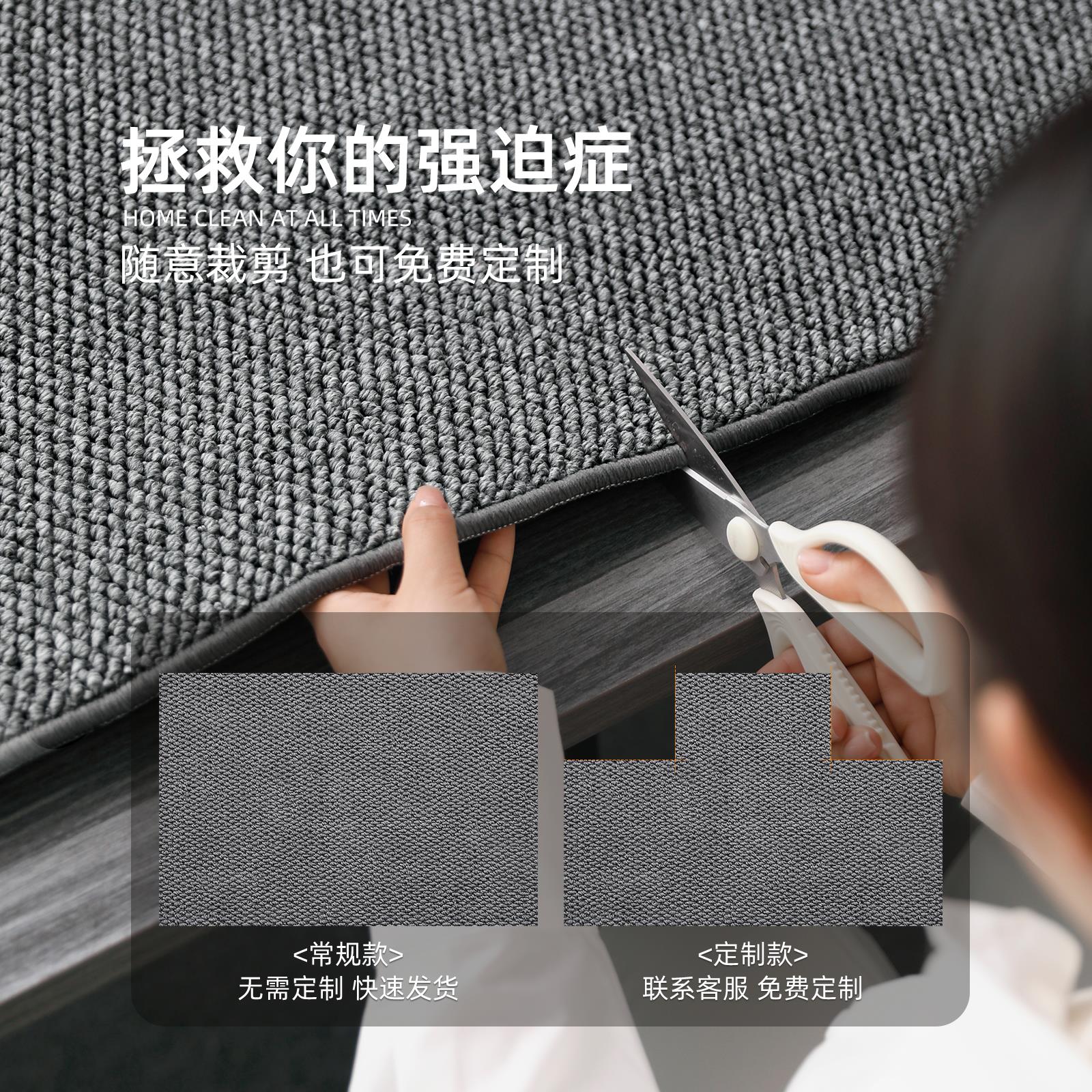 入户地垫2025新款高级感门口脚垫彷剑麻家用耐脏防滑进门玄关地毯 - 图3