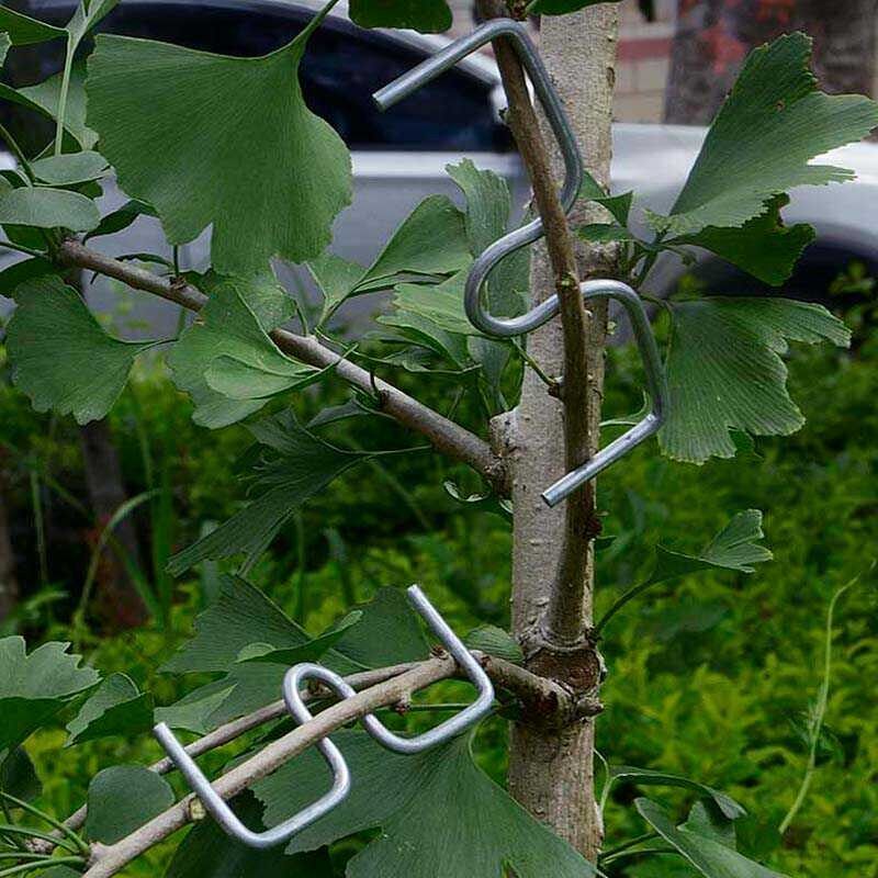 m型拉枝器果树拉枝神器别枝器拉枝器s压枝弯枝定型拉树枝神器固定,淘宝优惠券,粉丝福利购,淘宝优惠卷