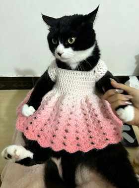 溜肩小猫专属渐变粉连衣裙