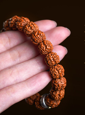 轩堂阁金刚菩提手串男士女士本命佛手链尼泊尔小原籽文玩佛珠精品