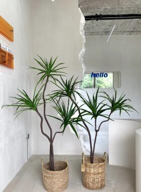 北欧大型彷真植物室内装饰假绿植盆栽千年木龙血树客厅服装店摆件