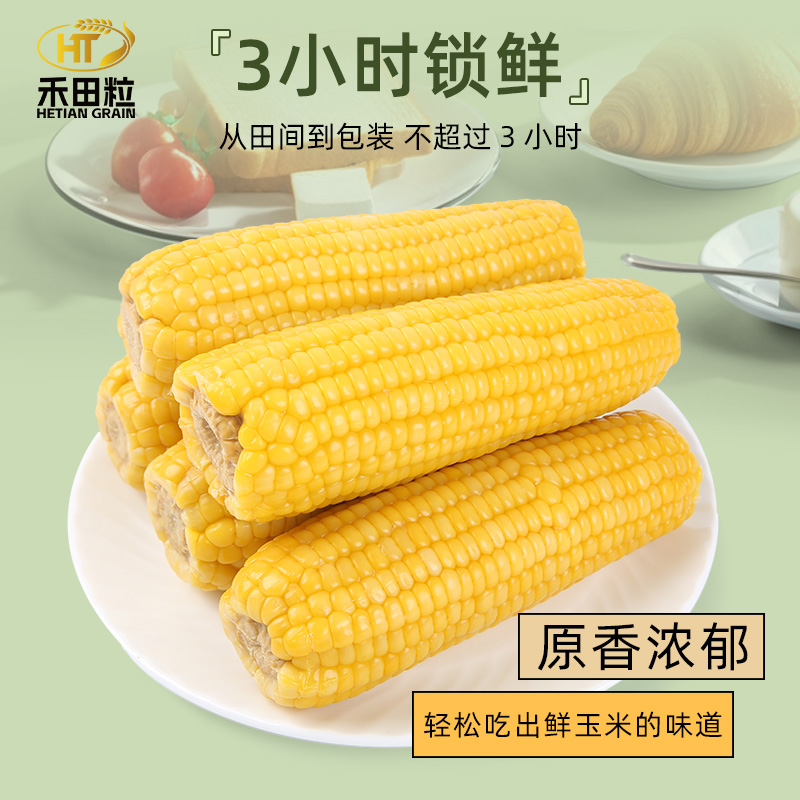 24年东北黄糯玉米非即食软糯低脂早餐代餐粗粮新鲜黏甜粘白糯玉米