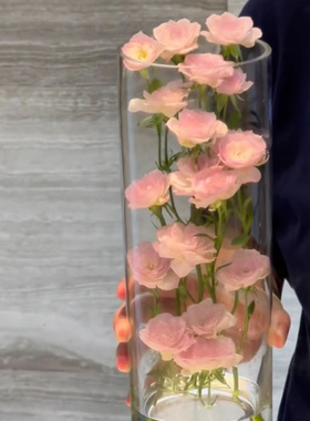 【玫瑰花透明花瓶轻奢创意】