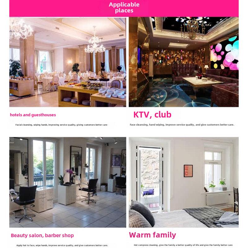 Cross-border American standard towel disinfection cabinet 110v exported to the United States, Japan and Taiwan special wet towel heated towel cabinet disinfection cabinet