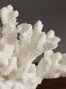 创意北欧风格彷真珊瑚装饰摆饰简约样板房客厅电视柜茶几家居摆设