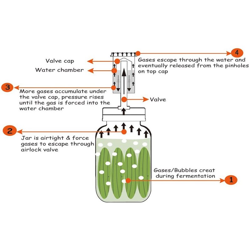 Wide Mouth Mason Jar Set wirh Fermentation Lid and Airlock H - 图3