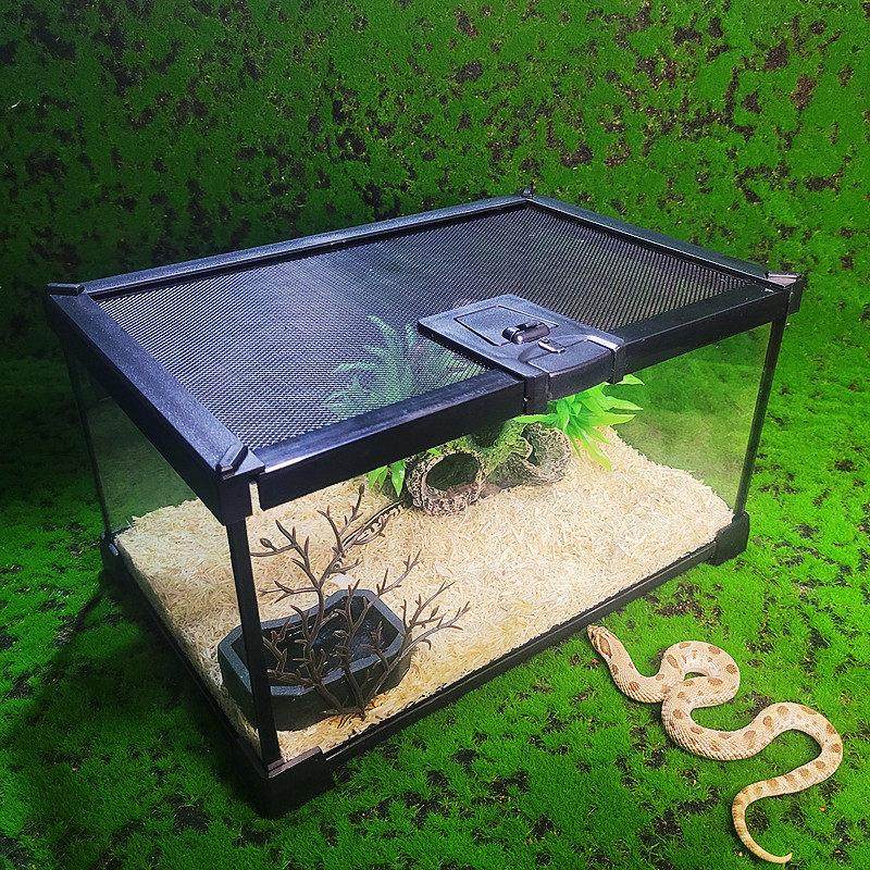 宠物蛇饲养套装爬虫箱雨林缸造景紫陆龟蝎蜥蜴守宫蛇苗繁殖保温箱,淘宝优惠券,粉丝福利购,淘宝优惠卷