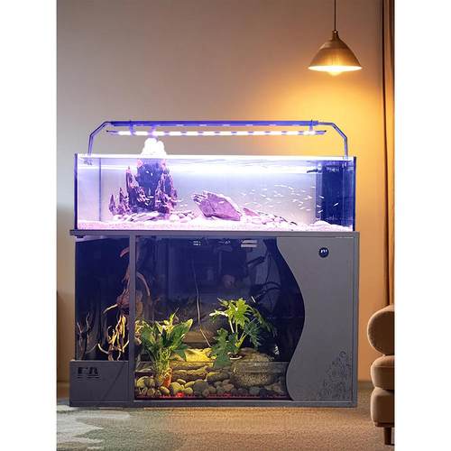 客厅中大型乌龟金鱼一体混养水陆两栖溪流缸底滤免换水造景生态缸 - 图2